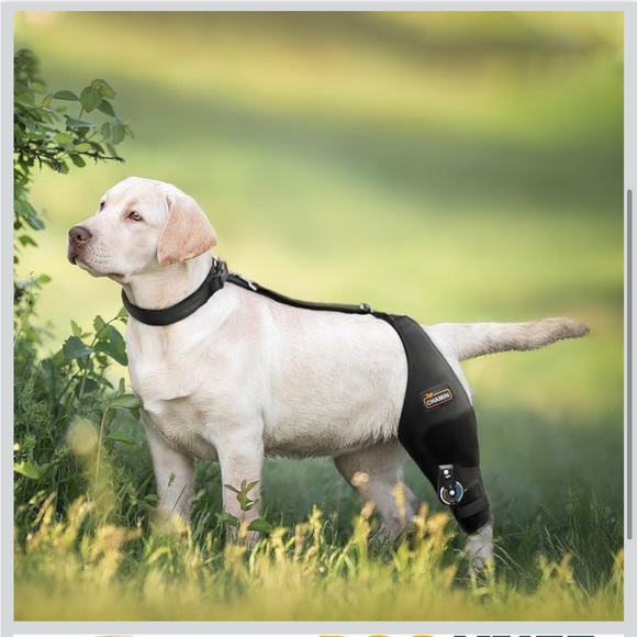 CHAMIN Adjustable Dog Knee Brace For Torn ACLHind Leg, Left Leg,M 569-lb2 - Picture 2 of 12